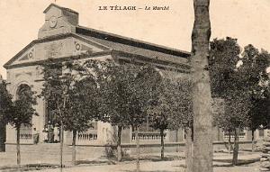 TELAGH MARCHE COUVERT 07